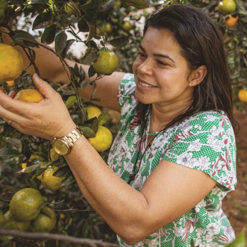 Understanding Brazilian Farmers