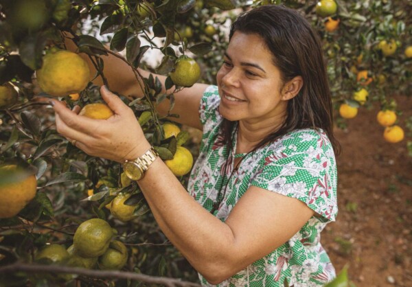 Understanding Brazilian Farmers