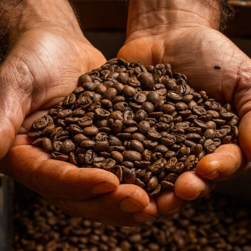 brazilian coffee