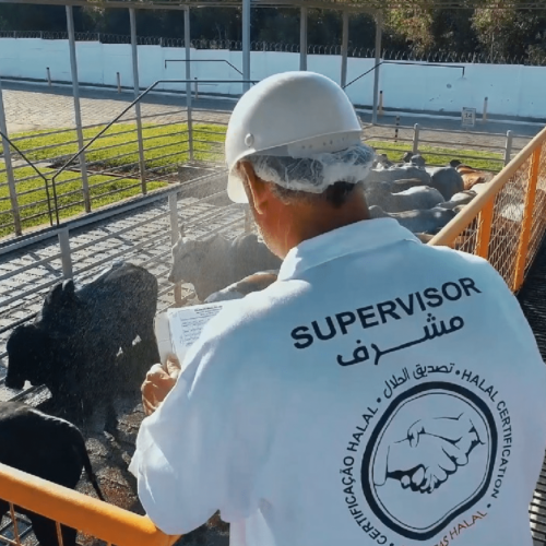 FAMBRAS halal collaborator - divulgação