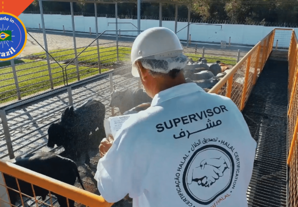 FAMBRAS halal collaborator - divulgação