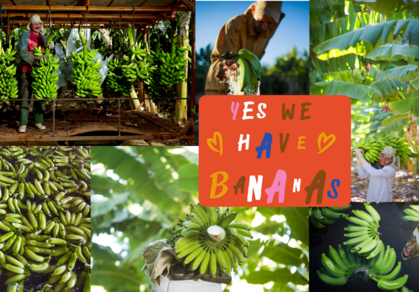 Wenderson Araujo/CNA