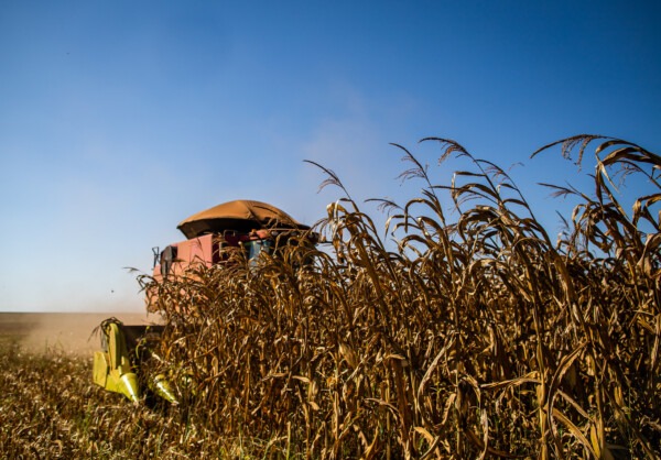 2023 Brazilian Rural GPV Projections