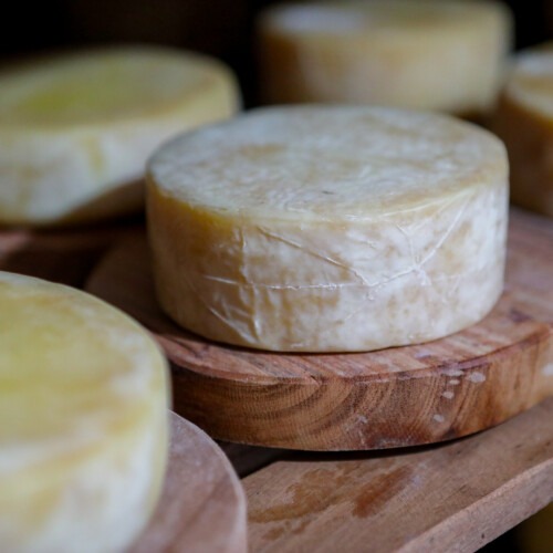 Photo: Fredox Carvalho / Sistema FAEG