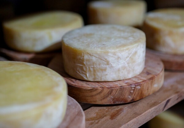 Photo: Fredox Carvalho / Sistema FAEG