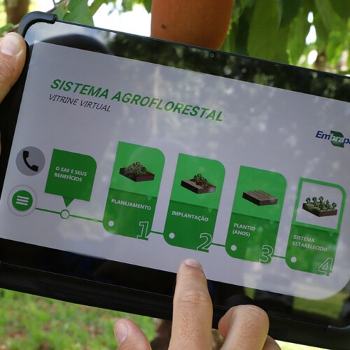 Picture: Ronaldo Rosa